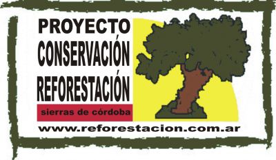 reforestación bosque nativo
