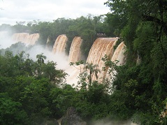 galeria de imagenes