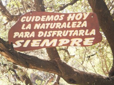 cuidar la naturaleza