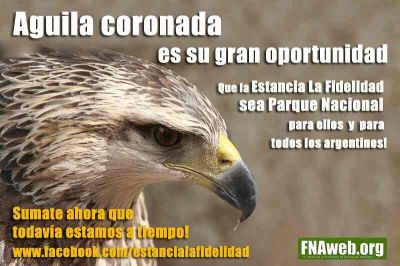 Águila Coronada por La Fidelidad