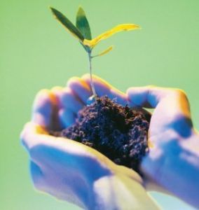 educación ambiental