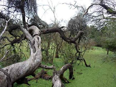 estancia la fidelidad