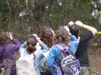 observación de aves