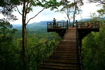 Observatorio de aves