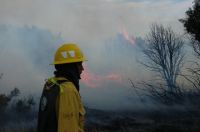 incendio forestal