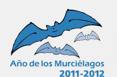 murcielagos