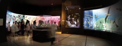 sala de aves