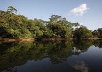 yasuni