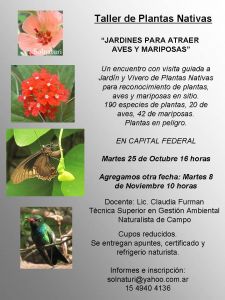 taller plantas nativas