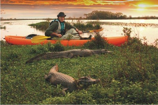 Resultado de imagen para parque nacional iberÃ¡ corrientes argentina