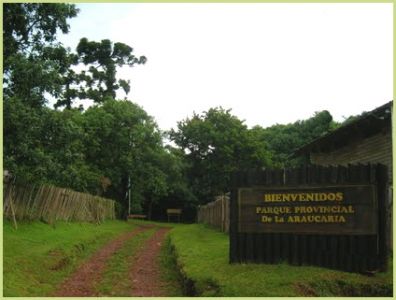 Parque Provincial de la Araucaria