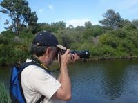 observacion de aves