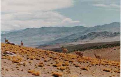 parque nacional san guillermo