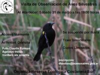 Visita Guiada de Observación de Aves en Costanera Sur