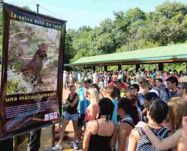 la selva está de luto