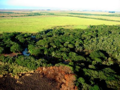 arroyo ayuí, Corrientes