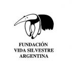 logo fvsa