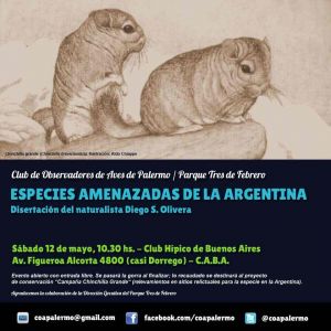 charla chinchillas