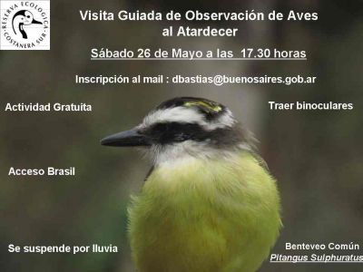 Salida de observación de aves al atardecer en Costanera Sur