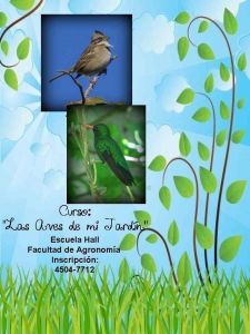 las_aves_de_mi_jardín