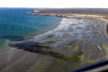 peninsula valdes