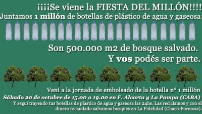 reciclado de botellas pet