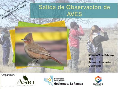 La Pampa: salida de observación de aves en Guatraché