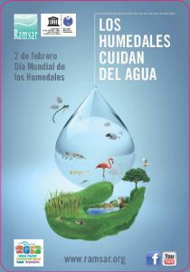 los humedales cuidan del agua