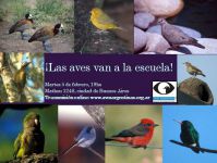 las aves van a la escuela