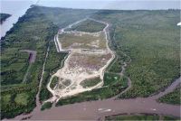 isla paulino
