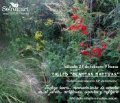 Taller de Plantas Nativas