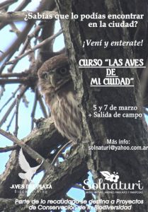 curso aves