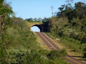 Organizaciones transmiten al Gobernador de Misiones su preocupación por la construcción de nuevas rutas