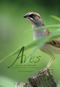 Libro Aves del Cerro San Bernardo