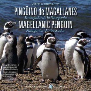 pinguino patagónico o de Magallanes