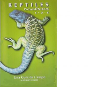 reptiles patagonia sur + scolaro