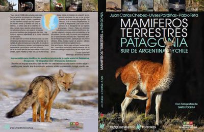 mamiferos terrestres de la patagonia argentina y chilena