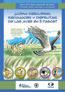 como descubrir, reconocer y disfrutas de las aves en 5 pasos