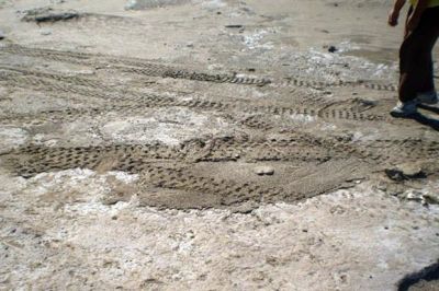 Dañan yacimiento arqueológico en Pehuen-Co