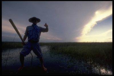 paisano en Iberá