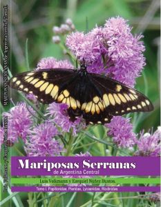 mariposas serranas