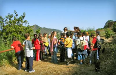 Información ambiental