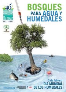 poster humedales