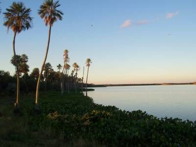 Laguna del Palmar Chaco