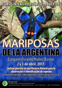 poster mariposas