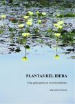 Plantas del Iberá