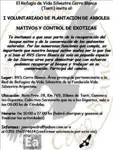 voluntariado
