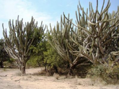 parque nacional la fidelidad